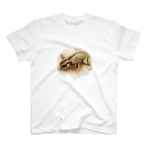 Sugar glider! Yamato Regular Fit T-Shirt