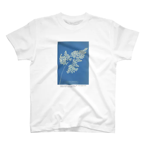 アトキンス 「Adiantum cuneatum」 スタンダードTシャツ