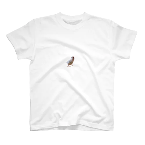 ｸﾜｯ Regular Fit T-Shirt