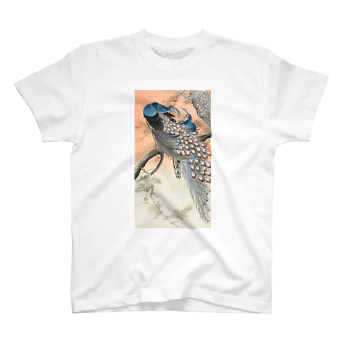 小原古邨　二羽の孔雀　Ohara Koson / Two peacocks on tree branch スタンダードTシャツ