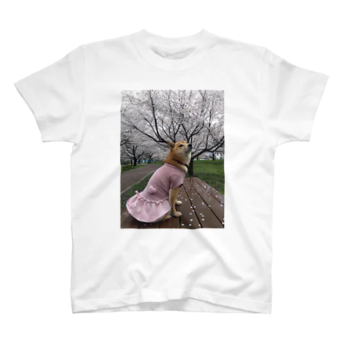 柴犬　桜シリーズ　満開の桜001 Regular Fit T-Shirt