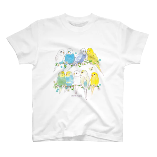 aoamoセキセイインコ スタンダードTシャツ