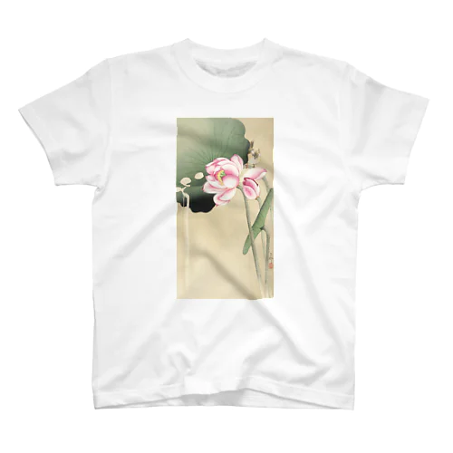 小原古邨　蓮と雀　Ohara Koson / Songbird and Lotus スタンダードTシャツ