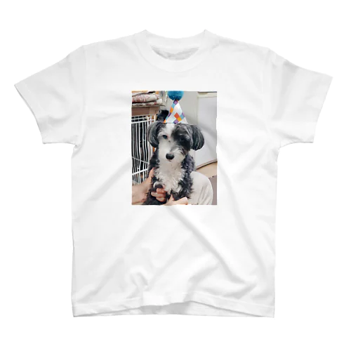 Birthdayなお犬 スタンダードTシャツ