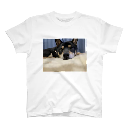 キャン Regular Fit T-Shirt