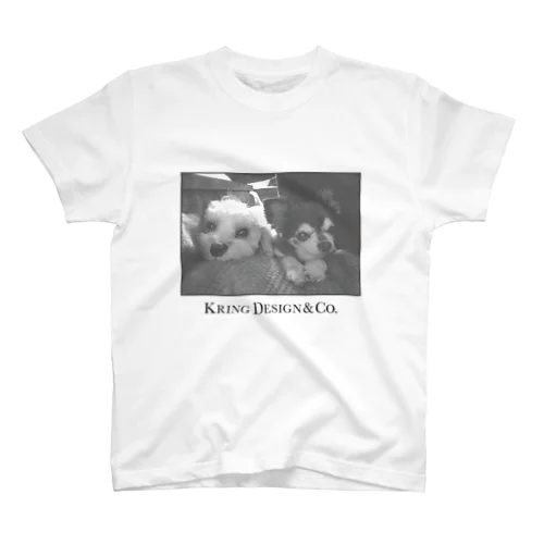 PHOTO TEE スタンダードTシャツ