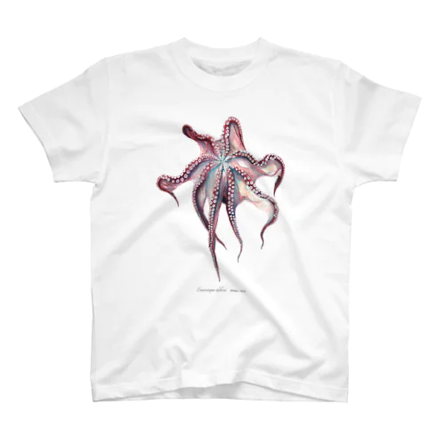 ミズダコ　Enteroctopus dofleini スタンダードTシャツ