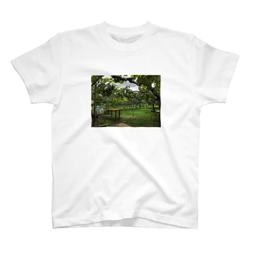 vineyard Regular Fit T-Shirt