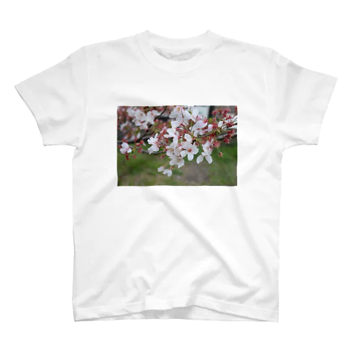 桜の木 スタンダードTシャツ