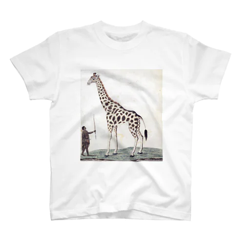 キリン（Giraffa Camelopardalis）、ロバート・ジェイコブ・ゴードン、1779年 スタンダードTシャツ