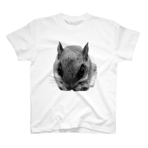 もももももももももももんが Regular Fit T-Shirt