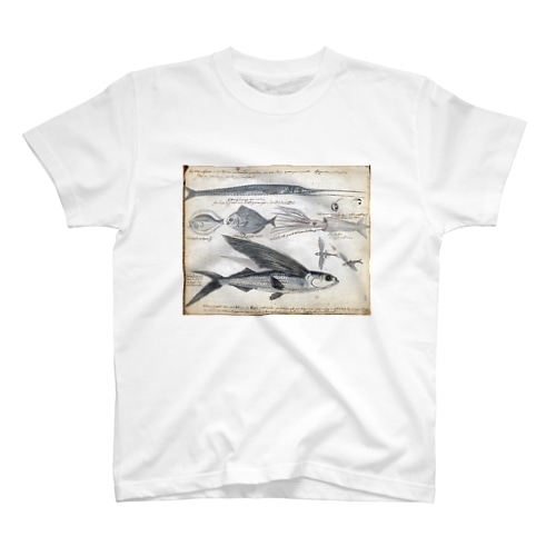 魚図鑑ートビウオ他 Regular Fit T-Shirt