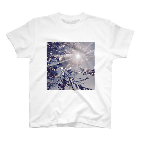 桜、光、空 Regular Fit T-Shirt