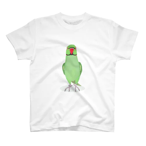 ワカケホウセイインコ スタンダードTシャツ