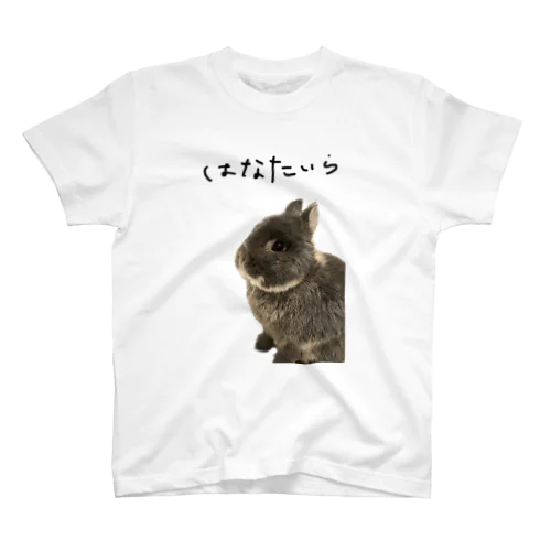 はなたいら スタンダードTシャツ