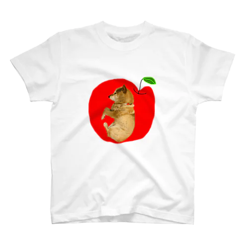 りんご&わんこ林檎と柴犬 スタンダードTシャツ