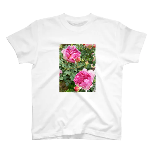 薔薇 スタンダードTシャツ