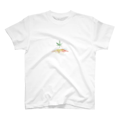 Hempasahi Regular Fit T-Shirt