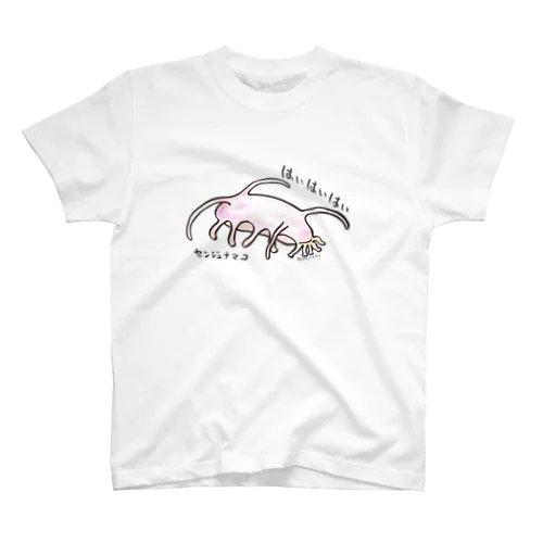 センジュナマコ スタンダードTシャツ