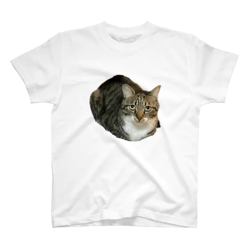 ねこ Regular Fit T-Shirt