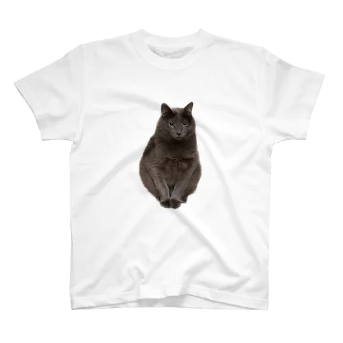 うちの猫　弐 Regular Fit T-Shirt