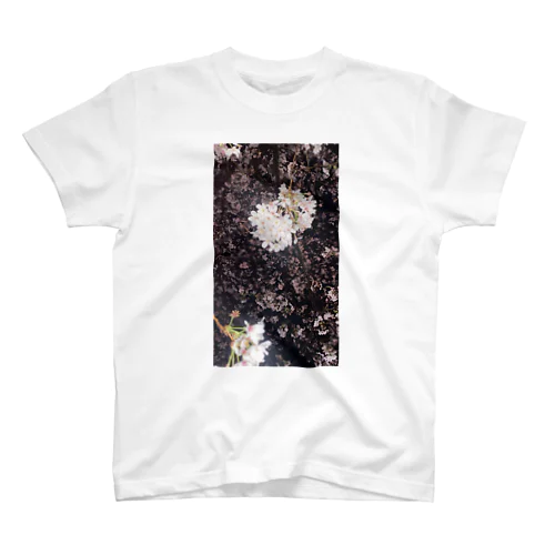 桜 スタンダードTシャツ