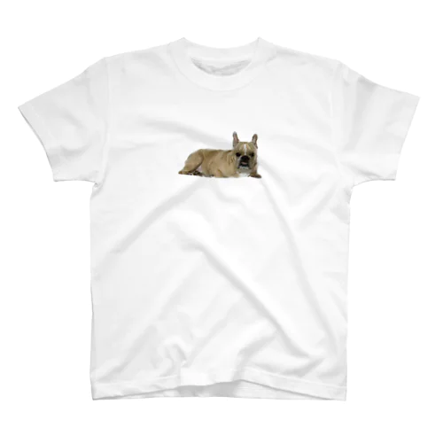 こっち向いてる犬 スタンダードTシャツ