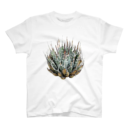 植物T アガベ「エボリスピナ」 Regular Fit T-Shirt