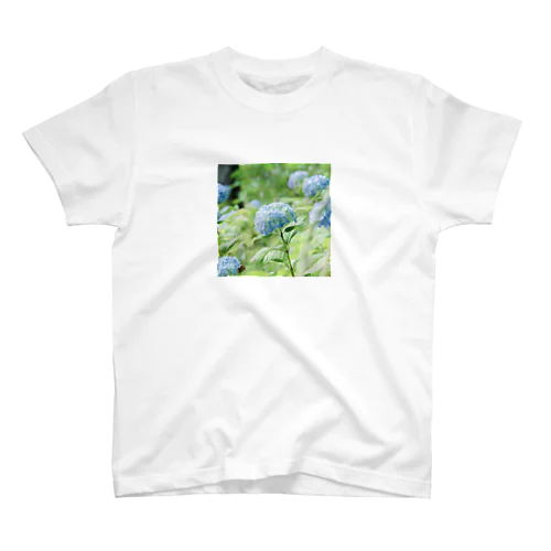 hydrangeas スタンダードTシャツ