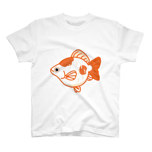 金魚「福だるま」 スタンダードTシャツ