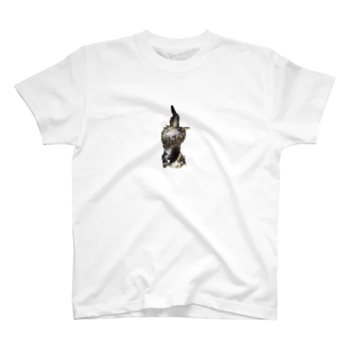 Gabriel Regular Fit T-Shirt