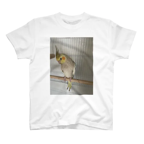 オカメインコ雛ちゃん Regular Fit T-Shirt