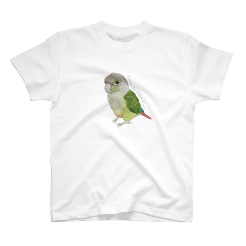 107 ウロコインコシナモン simple Regular Fit T-Shirt