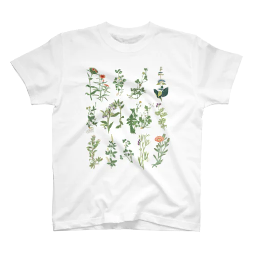 明治時代の植物図鑑 ＜ボタニカル・アート＞ Regular Fit T-Shirt