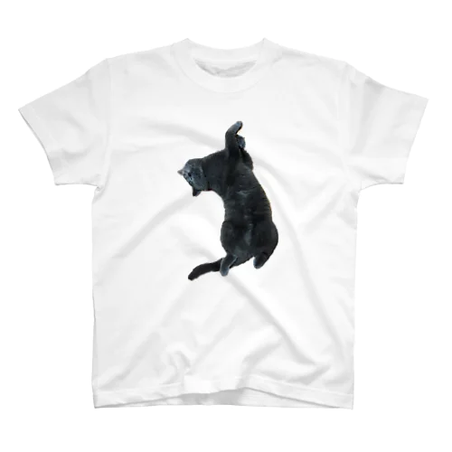 猫のストレッチ スタンダードTシャツ