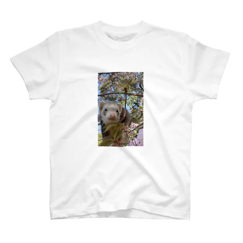 桜の下で、フェレットと。 Regular Fit T-Shirt