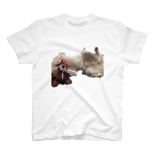 セクシー犬 スタンダードTシャツ