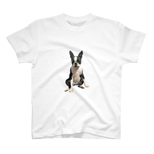 座るの下手犬 スタンダードTシャツ