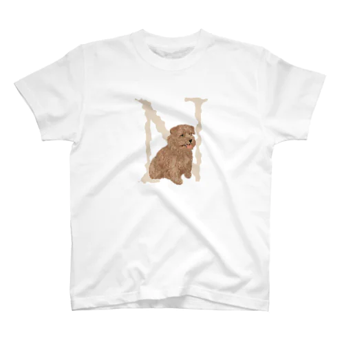 My favirite terriers drom A to Z　~N~ NORFOLK TERRIER スタンダードTシャツ