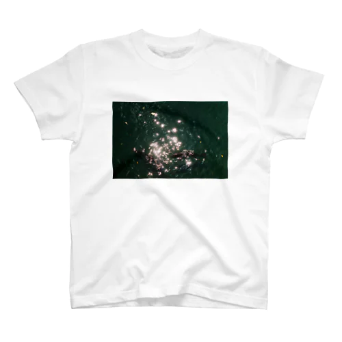 キラキラ鯉 スタンダードTシャツ