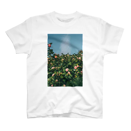 雲と薔薇 スタンダードTシャツ