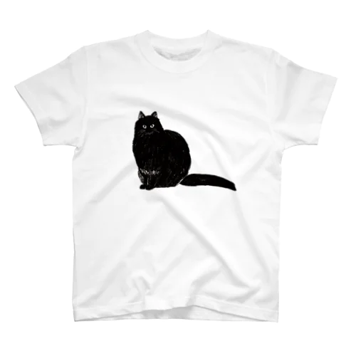 長毛黒猫おこげちゃん Regular Fit T-Shirt