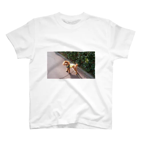 poodle Amu Regular Fit T-Shirt