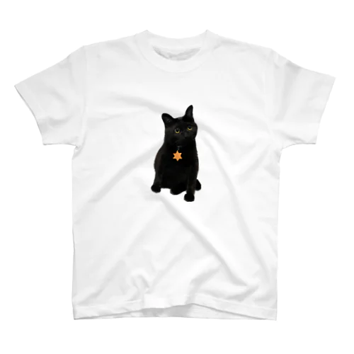 黒猫のkey Regular Fit T-Shirt