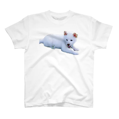 しろいいぬかわいい Regular Fit T-Shirt