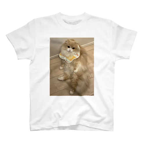 おおきくなったね Regular Fit T-Shirt
