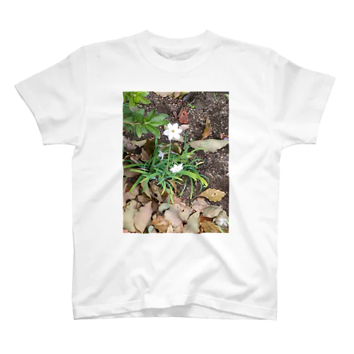 公園の野草 スタンダードTシャツ