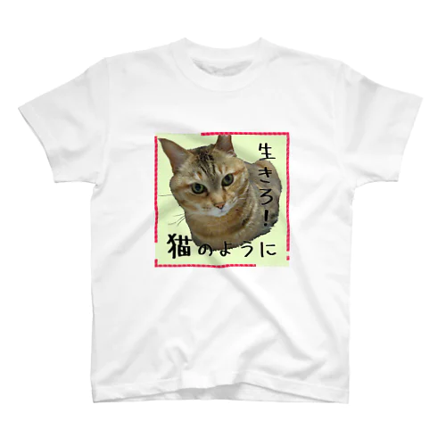 生きろ！猫のように スタンダードTシャツ