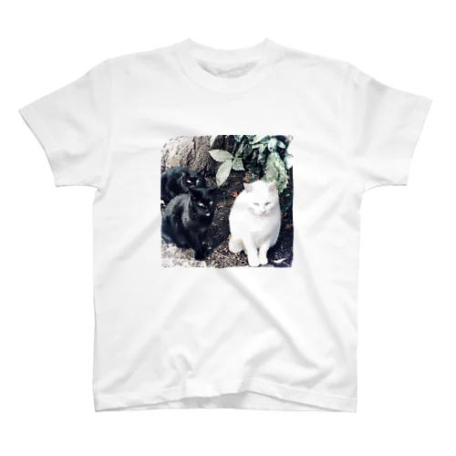 猫 Regular Fit T-Shirt