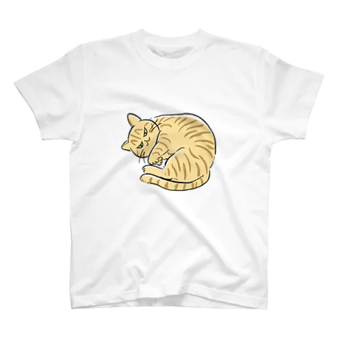 丸まった猫ちゃん スタンダードTシャツ